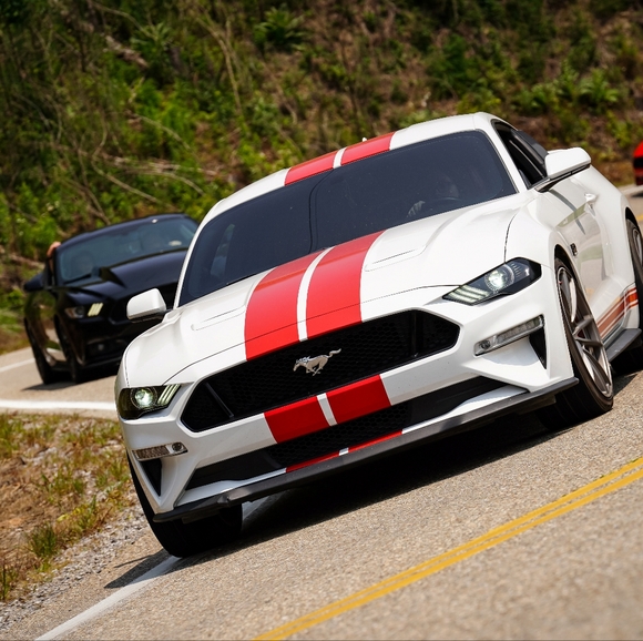 Meet Your Posher | Payton - Picture 2 of 3